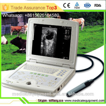 10.4" large screen veterinario ecografo portatile & vet ultrasound scanner MSLVU08-N